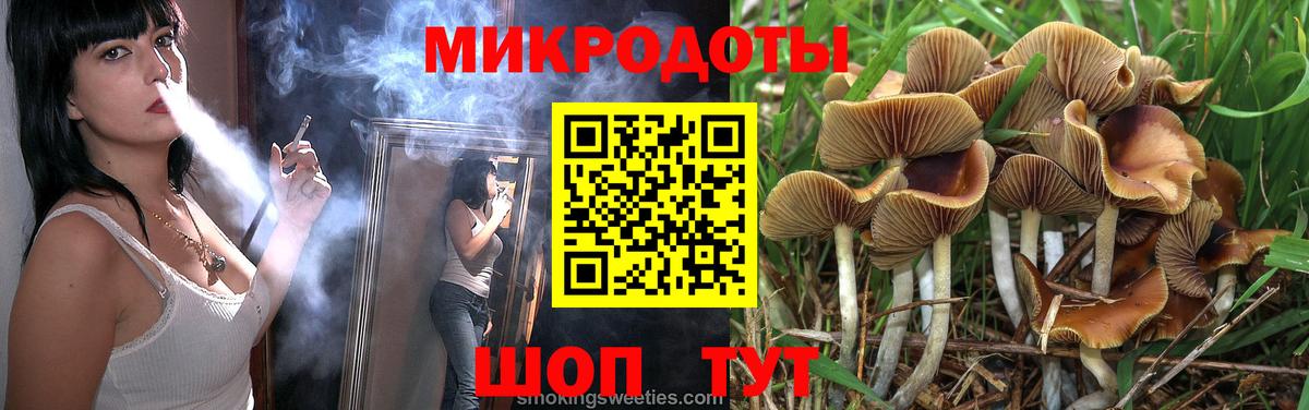 Камышин  Галлюциногенные грибы Psilocybine cubensis  Вход с VPN 