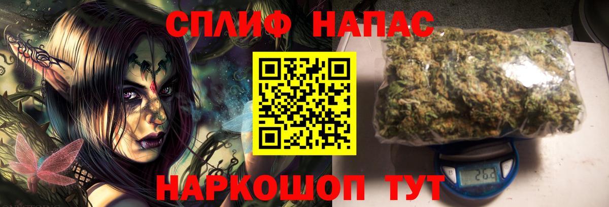 Каннабис OG Kush Камышин